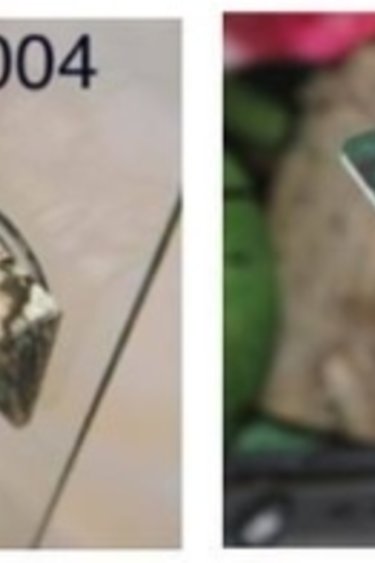 C3 Ledges C3 Plateforme petite pour gecko à 2 contenants de .5 oz à ventouse