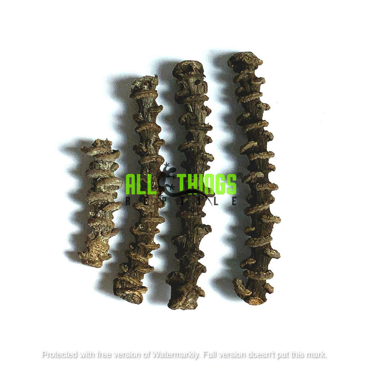 All things reptile ATR-BNN-4STM-039 Tige séchée de banane pq de 4