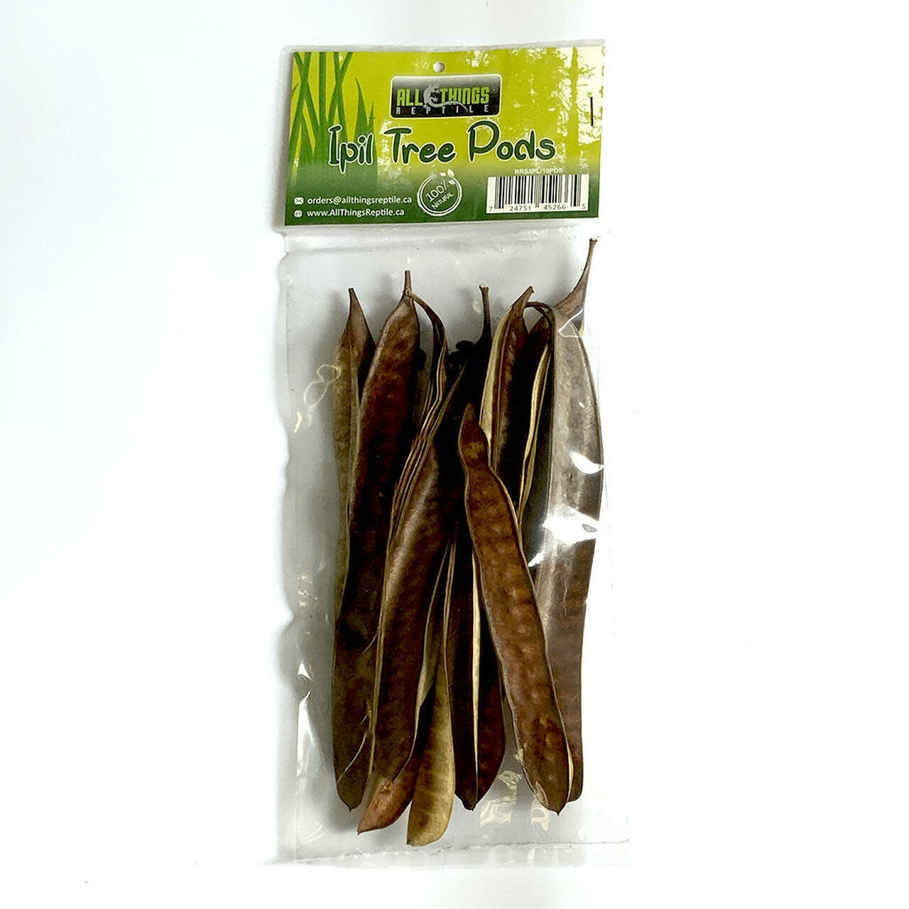 All things reptile Ipil Tree Pods 10-pack