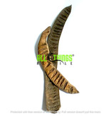 All things reptile ATR-MAY-2TPS-037 Gousses d'arbre de mai pq de 2