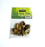 All things reptile ATR-BTH-8PDS-034Cosses de bétel pq de 8