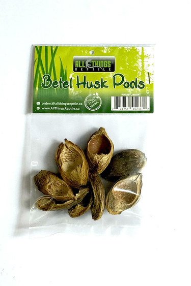 All things reptile ATR-BTH-8PDS-034Cosses de bétel pq de 8