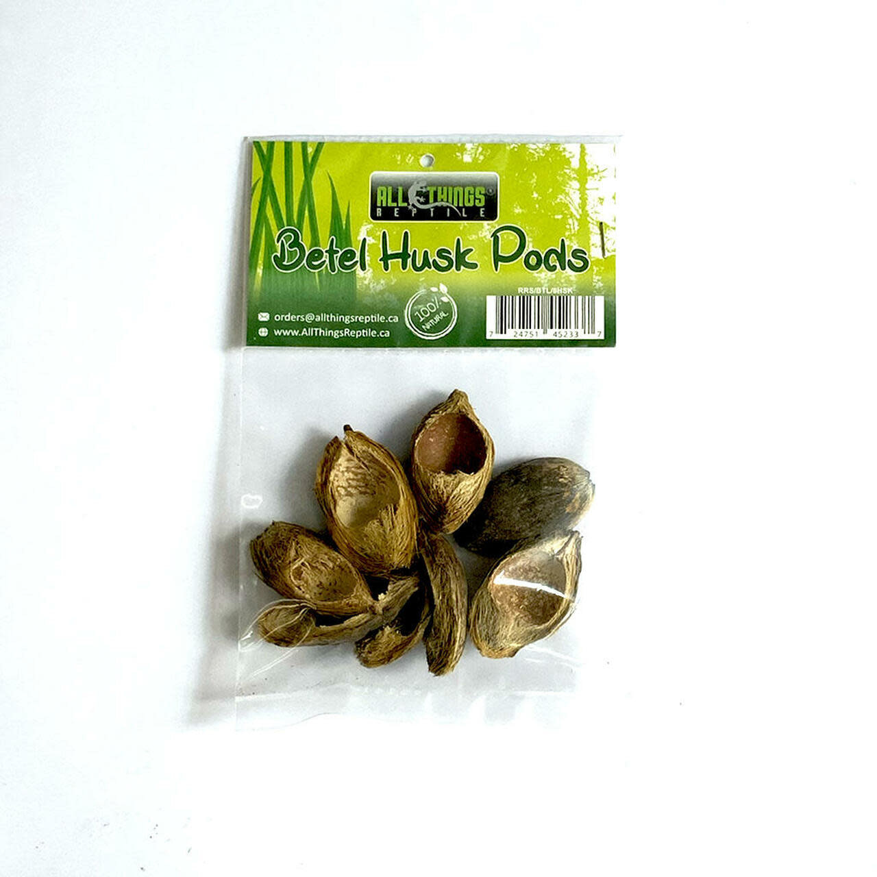 All things reptile ATR-BTH-8PDS-034Cosses de bétel pq de 8