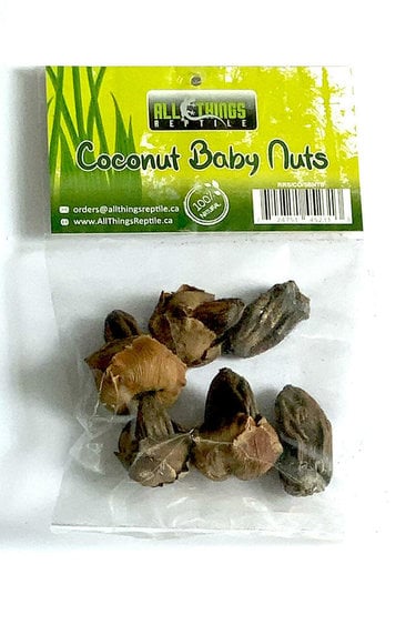 All things reptile Coconut Baby Nuts 5-pack