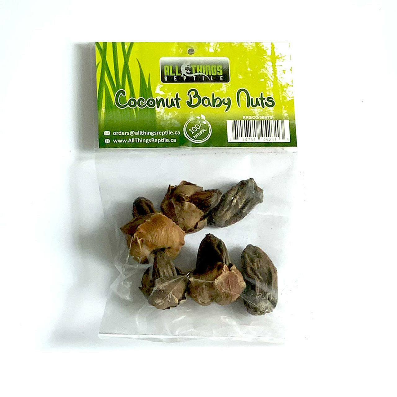 All things reptile Noix De Coco bébé pq 5 - Coconut Baby Nuts 5-pack