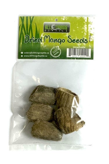 All things reptile Graines de mangue séchées pq 4 - Mango Dried Seeds 4-pack