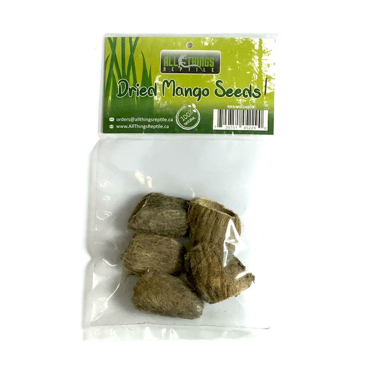 All things reptile Graines de mangue séchées pq 4 - Mango Dried Seeds 4-pack