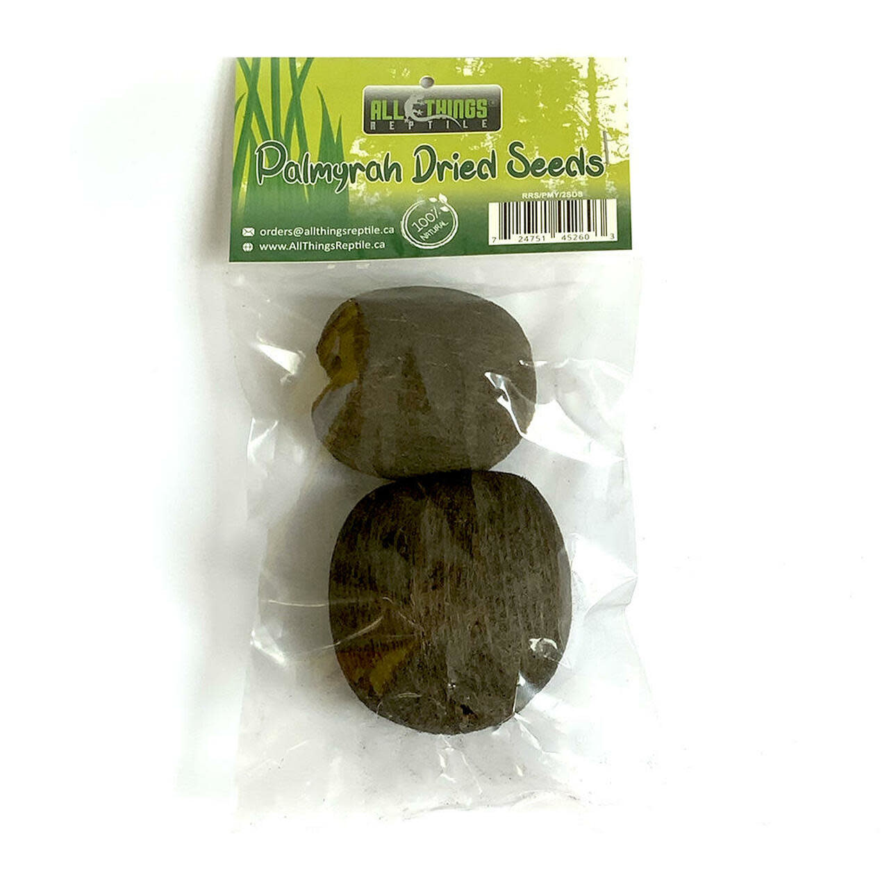 All things reptile Palmyrah Dried Seeds 2-pack