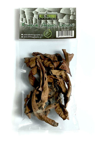 All things reptile Kumuk de différentes tailles pq 15 - Kumbuk Mix Size Leaves 15-pack