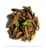 All things reptile ATR-KBL-15MX-027 Kumuk de différentes tailles pq de 15