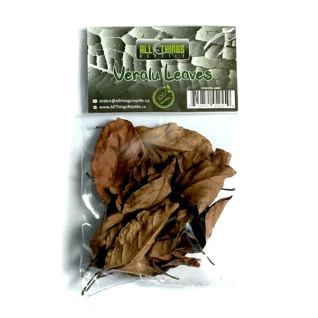 All things reptile Veralu (Ceylan Olive) feuilles de différentes tailles pq 20 - Veralu (Ceylon Olive) Mix Size Leaves 20-pack