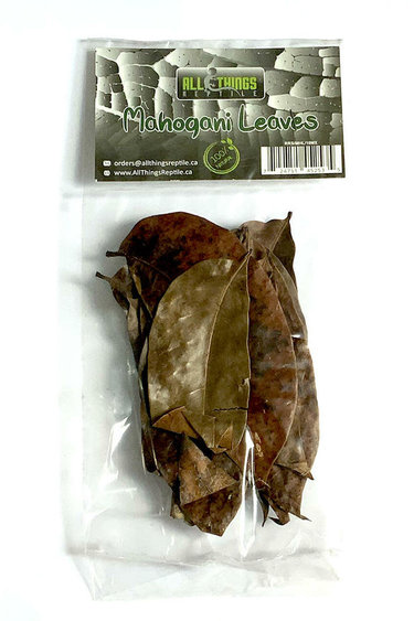 All things reptile Mahogani Mix Size Leaves 10-pack