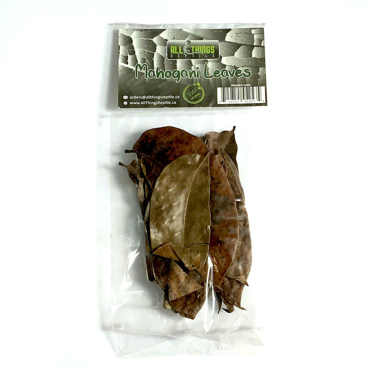 All things reptile ATR-MHL-10MX-022 Feuilles d'acajou de différentes tailles pq de 10