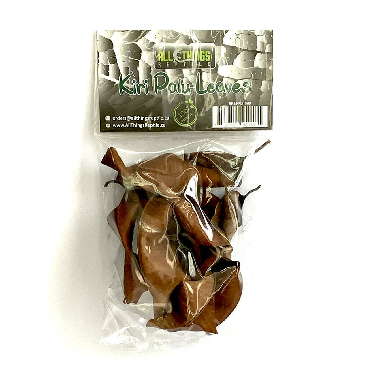 All things reptile ATR-KPL-10MX-020 Feuilles de Kiri Palu de diffétentes tailles pq de 10