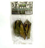 All things reptile Soursop Mix Size Leaves 10-pack