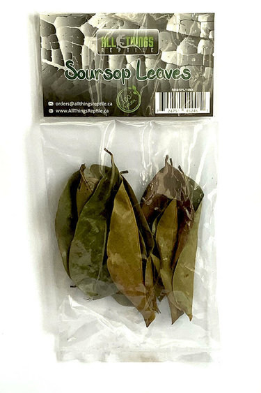 All things reptile Soursop Mix Size Leaves 10-pack