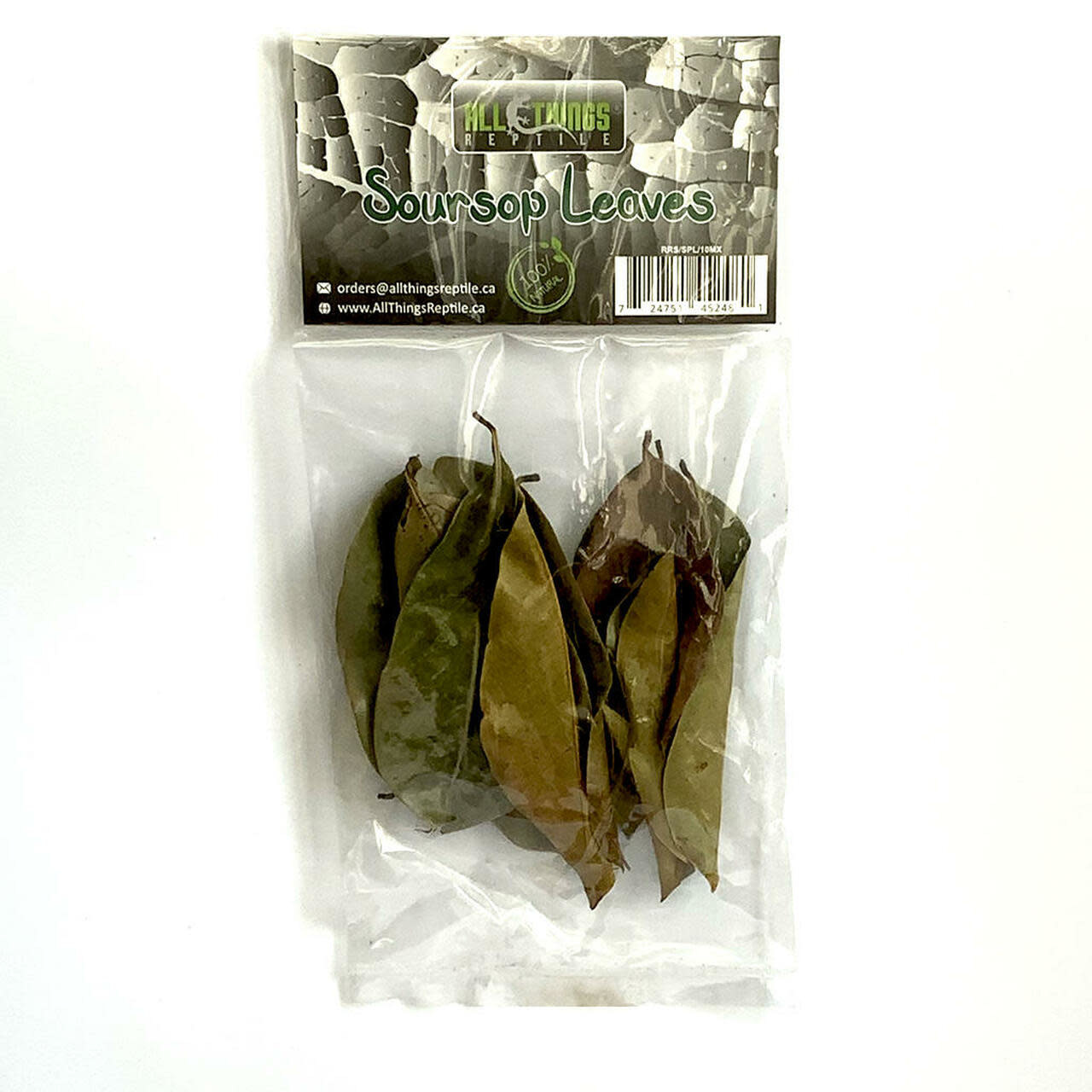 All things reptile Feuilles de corossol de différentes tailles pq 10 - Soursop Mix Size Leaves 10-pack