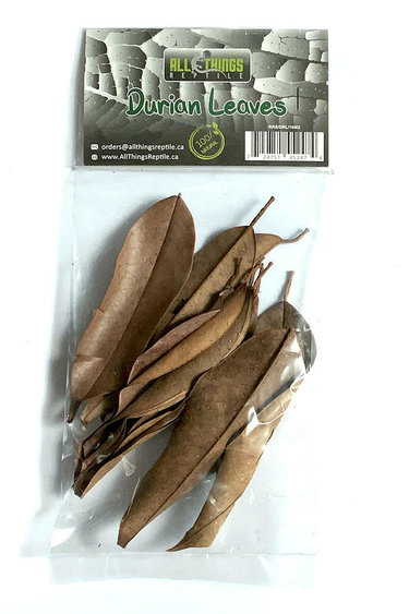 All things reptile Durian Mix Size Leaves 10-pack