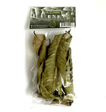 All things reptile ATR-GVL-10MX-015 Feuilles de goyave de différentes tailles pq de 10