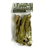 All things reptile Feuilles de goyave de différentes tailles pq 10 - Guava Mix Size Leaves 10-pack
