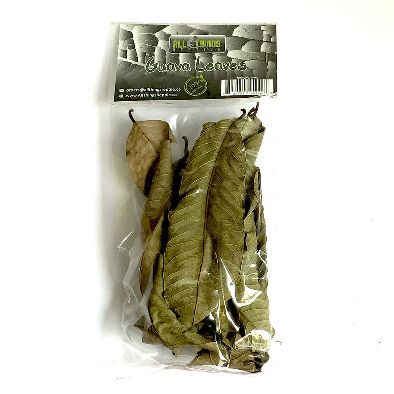 All things reptile Feuilles de goyave de différentes tailles pq 10 - Guava Mix Size Leaves 10-pack