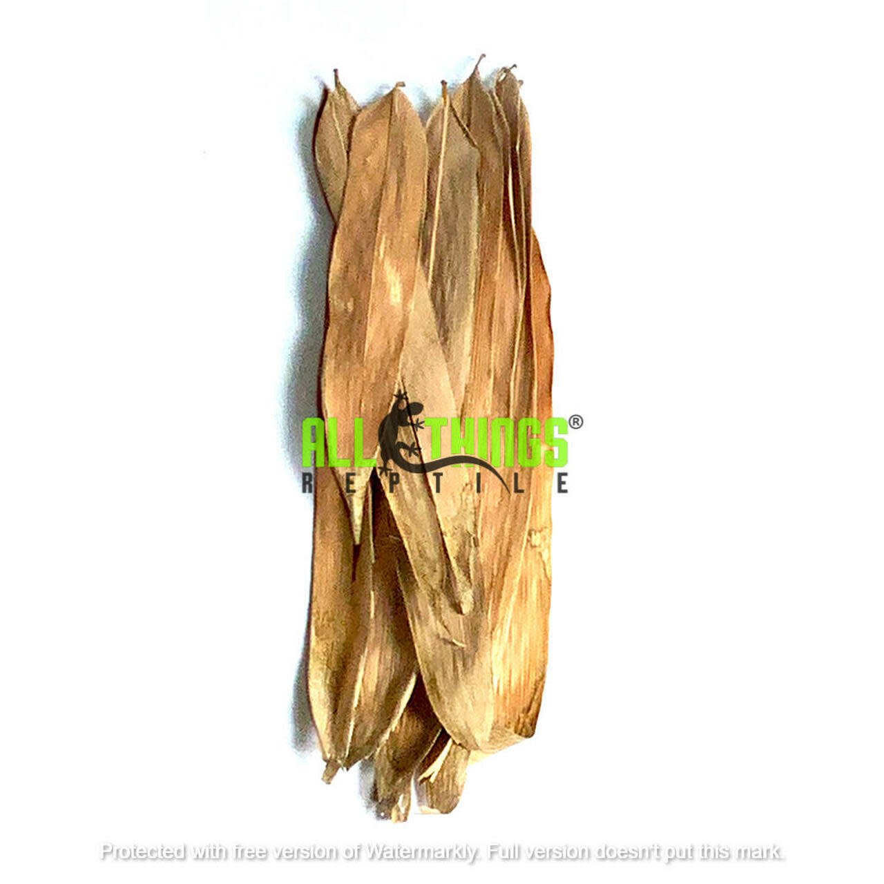 All things reptile Feuilles de bambou de différentes tailles pq 10 - Bamboo Mix Size Leaves 10-pack