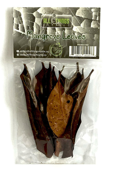 All things reptile Mango Small Leaves 10-pack