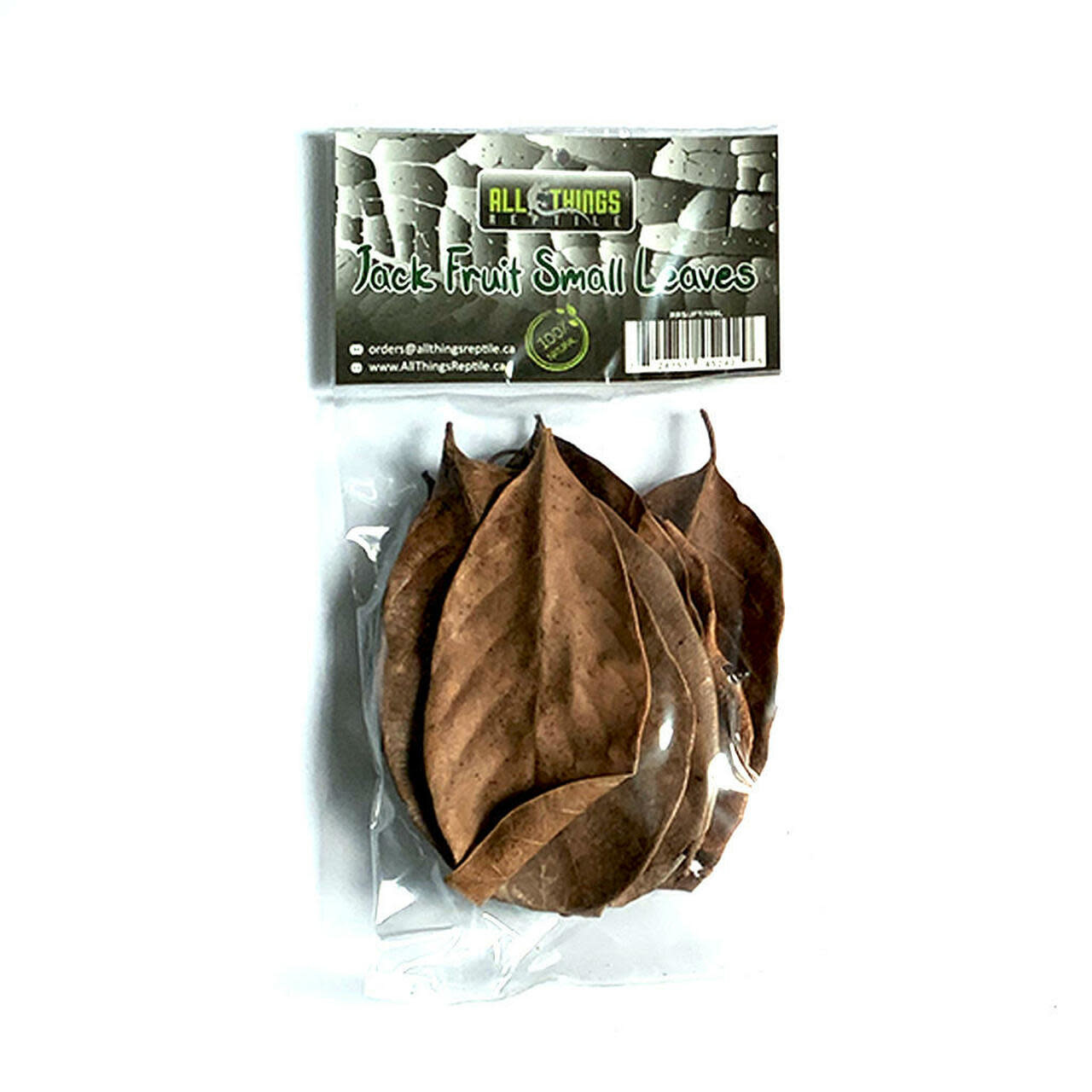 All things reptile Petites feuilles de Jacquier pq 10 - Jack fruit Small Leaves 10-pack