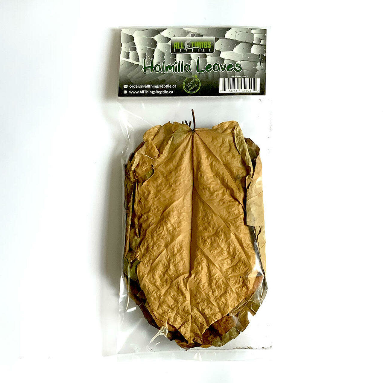 All things reptile ATR-HML-10MX-023 Feuilles d'Halmilla de différentes tailles pq de 10