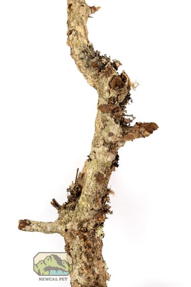 NewCal Pets NEWCAL Branche d'écorce mince