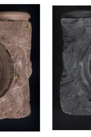 C3 Ledges C3 Ce Rebord double magnétique pour Gecko pour 2 X 0.5 oz