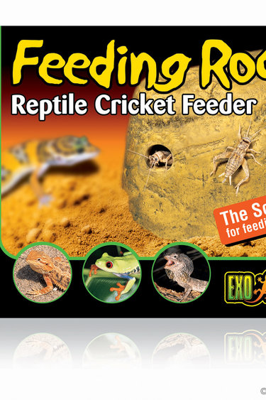 Exoterra Reptile Cricket Feeder