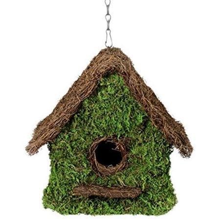 Galapagos Bird House 11 x 12in with Installation Chain
