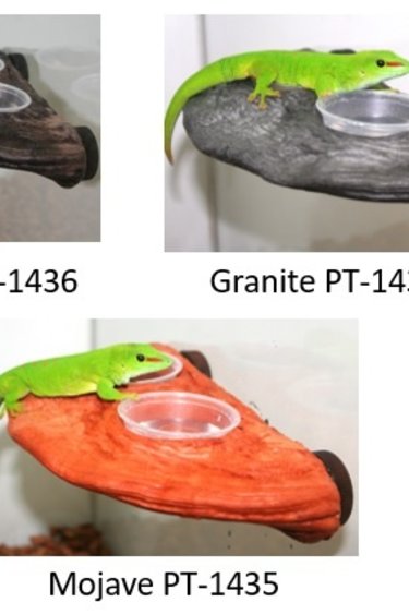 Pet-Tekk PET-TEKK Bol à gecko 9 X 4.5" -