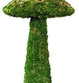 Galapagos Champignon mousse - Moss Mushroom