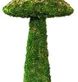Galapagos Moss Mushroom