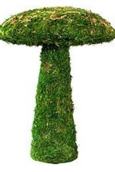 Galapagos GALAPAGOS Champignon mousse