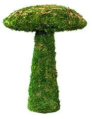 Galapagos Moss Mushroom