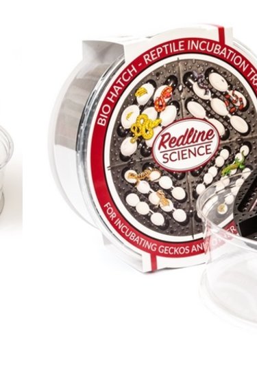 Redline Science REDLINE SCIENCE Ensemble d'incubation de reptiles BIO HATCH