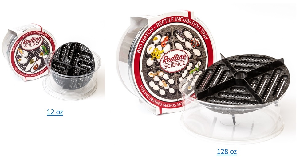 Ensemble d'incubation de reptiles BIO HATCH - BIO HATCH Reptile