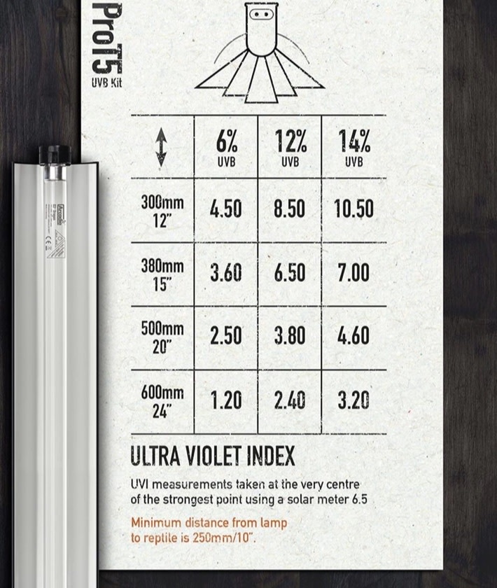 Arcadia ARCADIA Ensemble PRO T5 UVB avec lampe forestière 6%