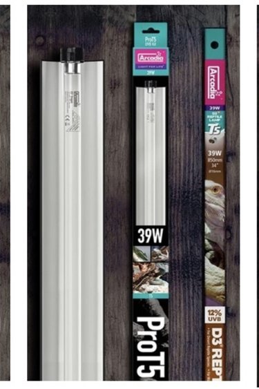 Arcadia ARCADIA Ensemble Arcadia PRO T5 UVB avec lampe pour dragon à 14%
