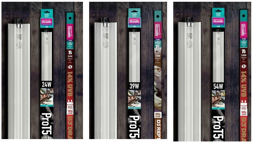 Arcadia ARCADIA Ensemble Arcadia PRO T5 UVB avec lampe pour dragon à 14%