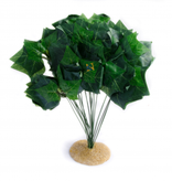 Aqua Globe Plante patate 16 " - Potato Plant 16’’