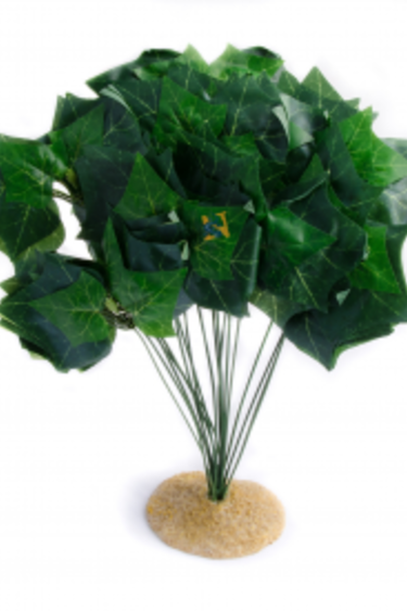 Aqua Globe Potato Plant 16’’