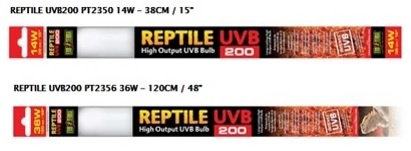 Exoterra Néon fluorescent UVB200 à rendement élevé pour reptiles