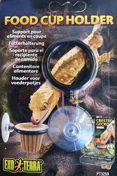 Day Gecko Food 8 portions Magazoo the Universe of Reptiles