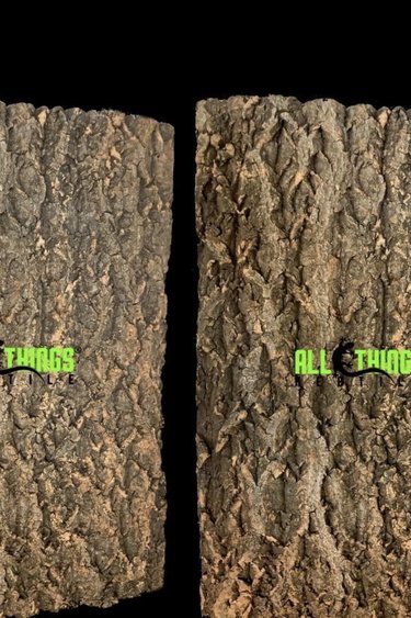 All things reptile Fond de liège chêne naturel flexible - Flexible Natural Oak Cork Background