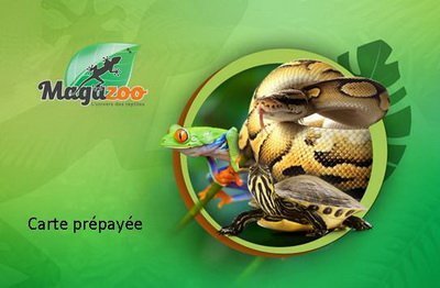 Magazoo Carte cadeau