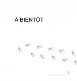 Magazoo Carte cadeau